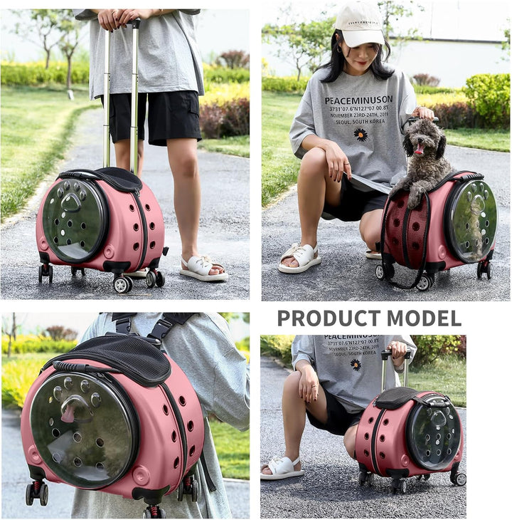 PETCUTE Haustier Rucksack,Faltbare Haustier-Tragerucksack Bis 7.5 Kg mit Herausnehmbarer Matte,Gute