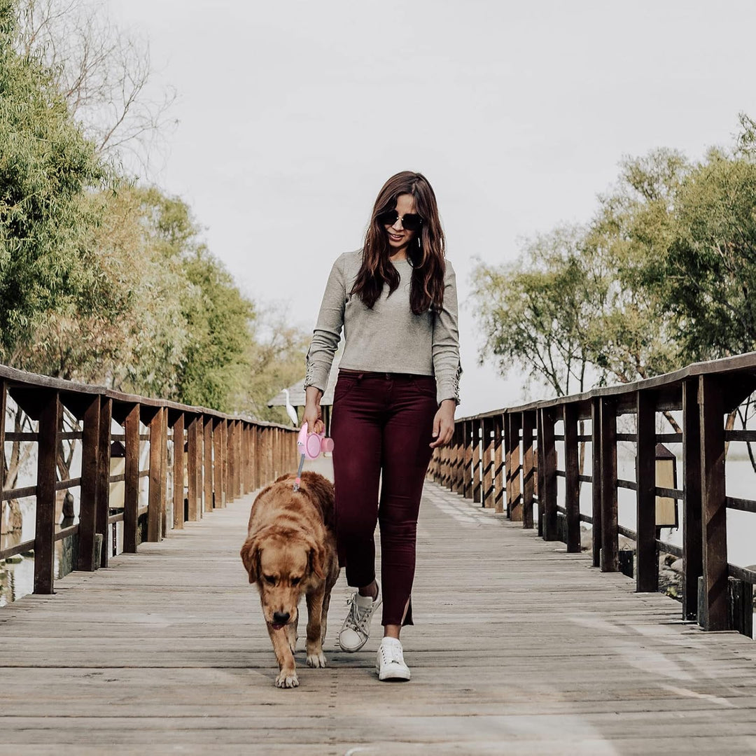 Hundeleine Rollleine Nylonband 5M Rollschnur Einziehbar Ausziehbar bis 50kg Kleine Hunde und Mittelg