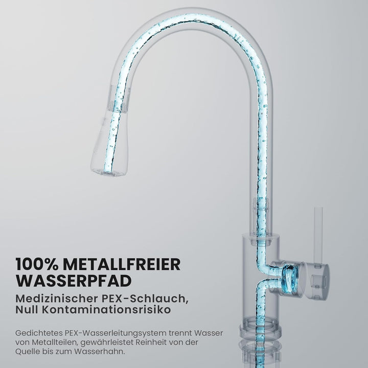 Wasserhahn küche mit Ausziehbar Hochdruck fur Spülbecken - CECIPA Küchenarmatur mit Brause - Edelsta