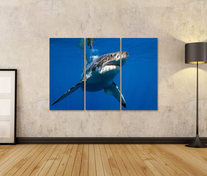islandburner Bild auf Leinwand Weisser Hai Bilder Wandbilder Poster Leinwand 130x80cm - 3 Teile, Lei