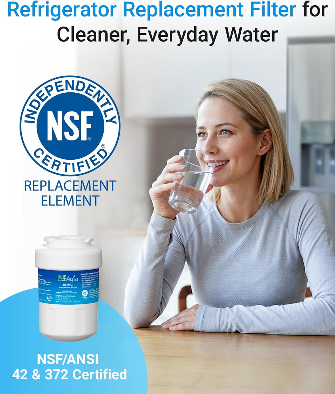 EcoAqua EFF-6013A Kühlschrankwasserfilter Kompatibel mit GE SmartWater MWF, MWFA, MWFA, MWFAP, MWFDS