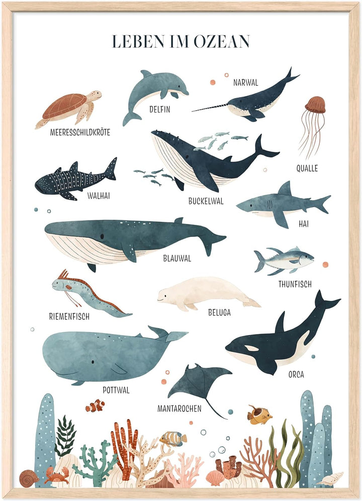 kizibi® Unterwasserwelt Lernposter für Kinderzimmer - Detailliertes DIN A2 Poster des Meeres & Ozean