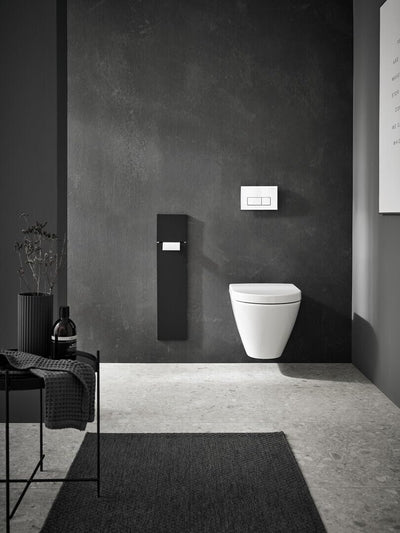 Emco Asis Pure Unterputz-WC-Modul, Badezimmerschrank als Klobürsten- und Toilettenpapierhalter mit e