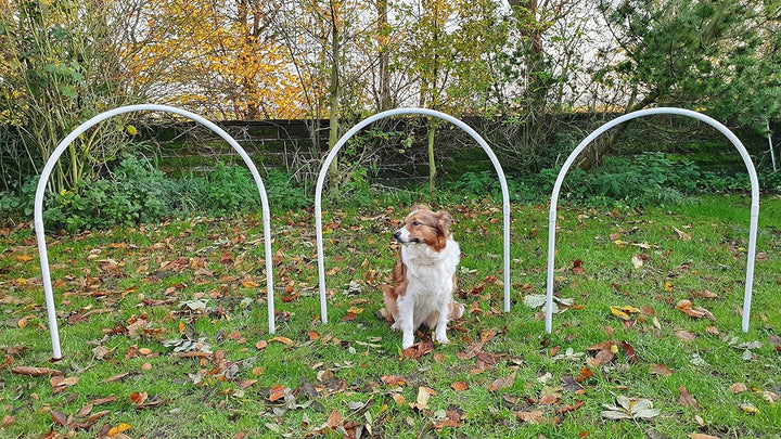 Wuzzmann Set 3 x NADAC Hoopers Bögen/Hoop/Hoops/Fun Hoopers Agility Bögen mit Erdnägeln/PVC weiss/gr