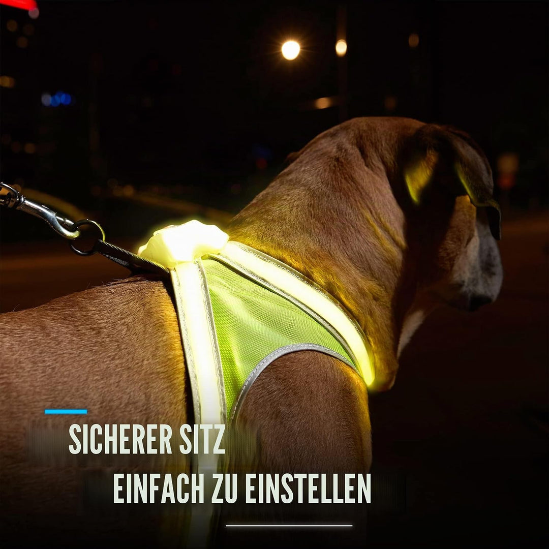 noxgear LightHound – Revolutionäres beleuchtetes und reflektierendes Geschirr für Hunde, inklusive m