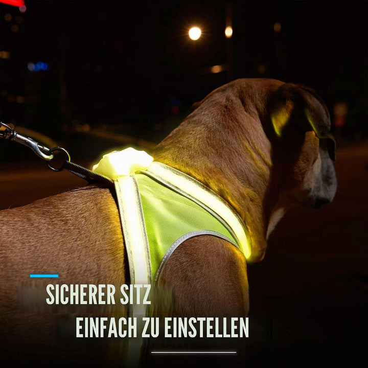 noxgear LightHound – Revolutionäres beleuchtetes und reflektierendes Geschirr für Hunde, inklusive m