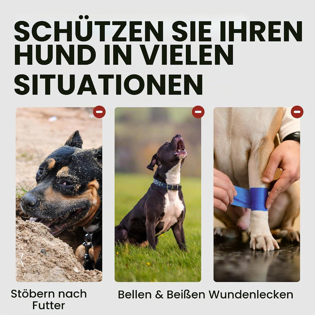 BronzeDog Metall Hund Maulkorb Drahtkorb Deutsche Dogge Mastiff Bernhardiner Atmungsaktive Maske mit