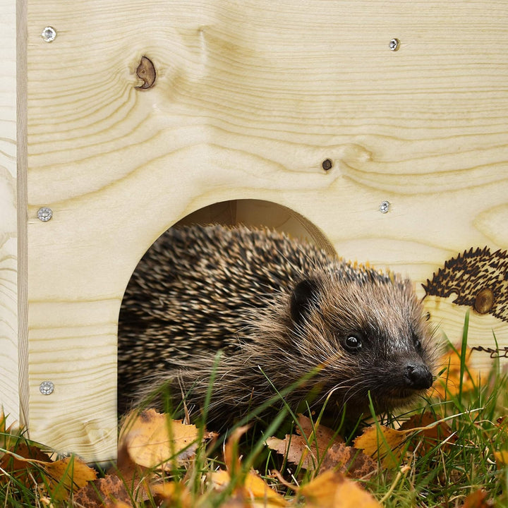 N/A XXXL Igelhaus Igelhotel Igelhütte Futterhaus für Igel Igelfutterhaus Natur aus Vollholz 78cm x 3