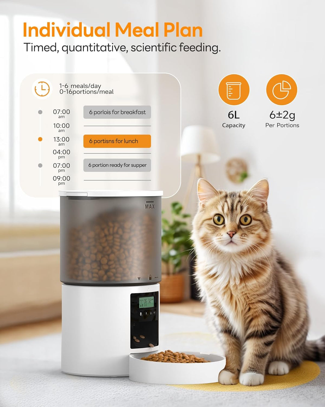 Futterautomat Katze Katzenfutter Automat mit Timer: Futternapf mit Automatic Futterautomat - 10s-Ruf