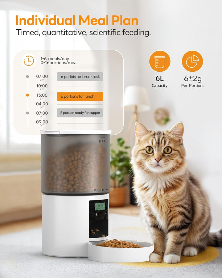 Futterautomat Katze Katzenfutter Automat mit Timer: Futternapf mit Automatic Futterautomat - 10s-Ruf