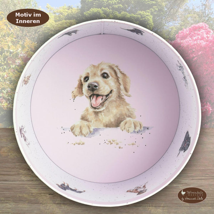 440s Wrendale Designs Keksdose Spaniel & Tulpen | WD-CTN005-XL