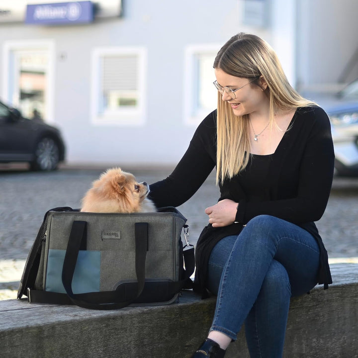 Kerbl Pet Tragetasche Vacation, Hundetasche, Transporttasche, grau, blau, 40x20x27cm, Nylon, Hunde,