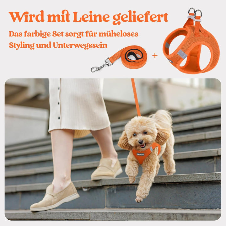 rabbitgoo Hundegeschirr Kleine Hunde mit Leine, Step-in Welpengeschirr Weich Mesh für Spaziergänge,