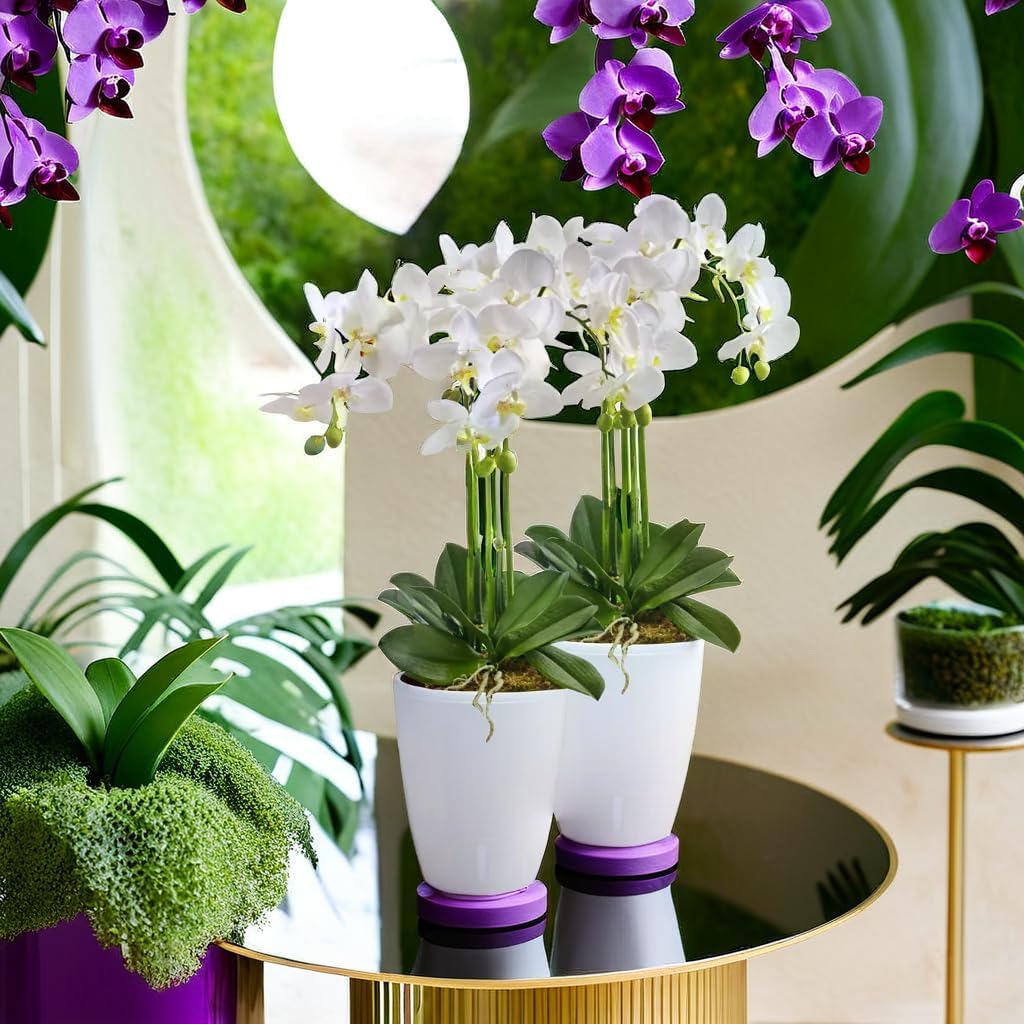 Santino 4er-Set Orchideentopf D 15cm Selbstbewässernder Topf mit Dochtsystem und Wasserstandsanzeige