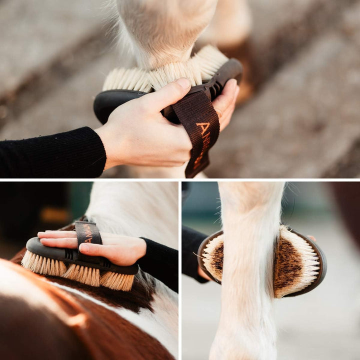 Animalon CareFlex Wurzelbürste – Naturhaar-Pferde-Bürste – Wurzelkardätsche mit harten Naturborsten