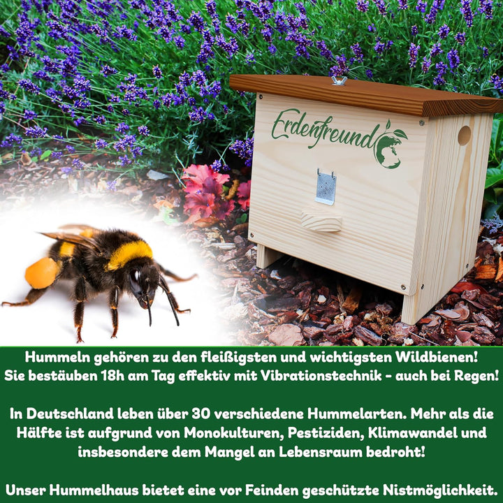 Erdenfreund® Hummelhaus mit Wachsmottenklappe + Fester Verschluss Räuberschutz Hummelhotel inkl. Nis