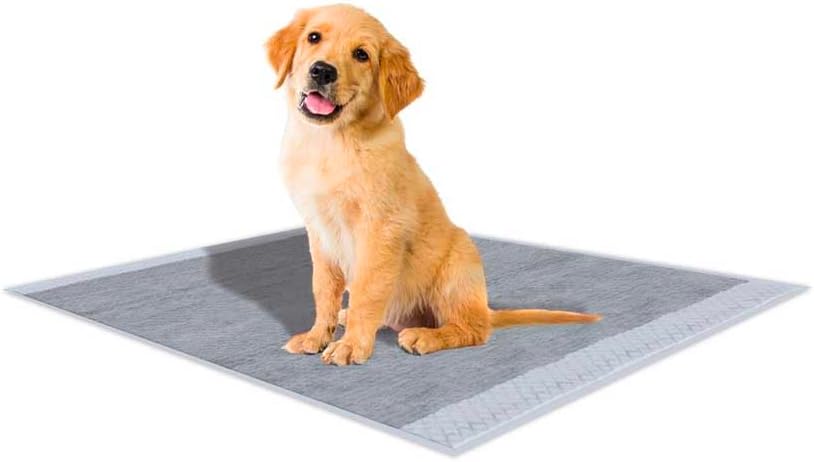 Croci Super Windel Aktivkohle – Hygienematten für Hunde 57x84 cm – 60 Stück, Unterlagen für Hunde un