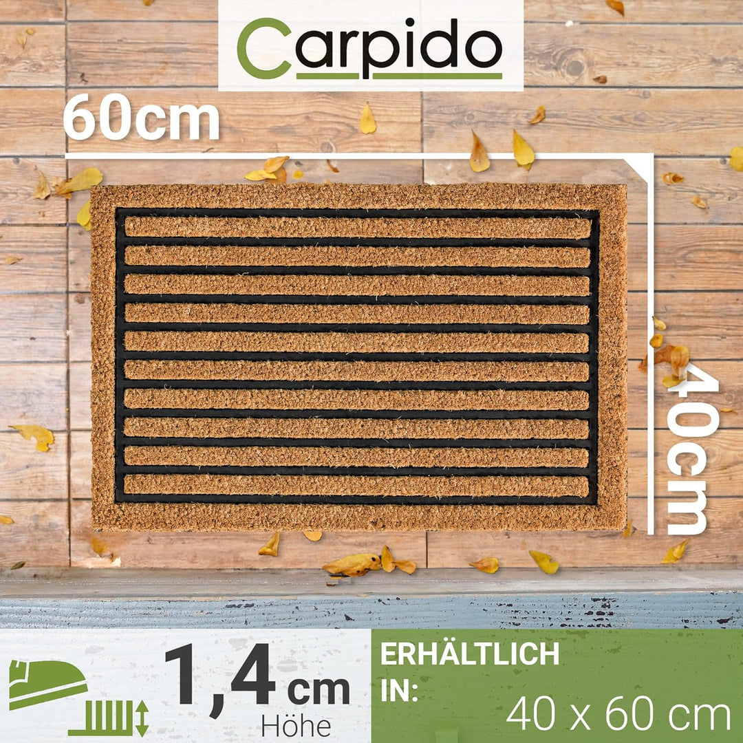 Carpido Fussmatte Kokos Streifenmuster - Türmatte 40 x 60 cm (Rechteckig) - antibakterielle Eingangs