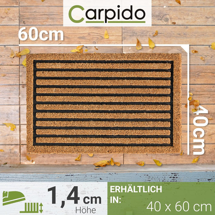 Carpido Fussmatte Kokos Streifenmuster - Türmatte 40 x 60 cm (Rechteckig) - antibakterielle Eingangs