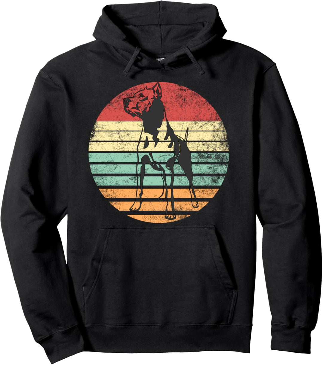 Dogo Argentino Vintage Retro Pullover Hoodie