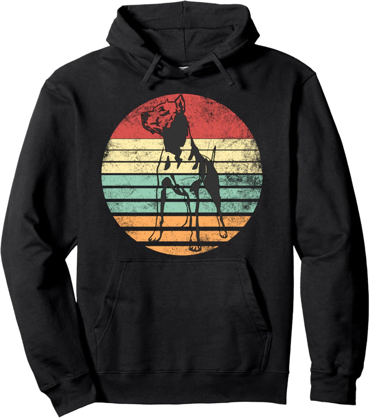 Dogo Argentino Vintage Retro Pullover Hoodie