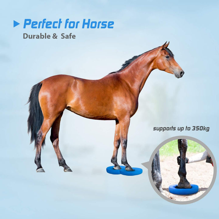 5BILLION Balance Pad - Oval - Übungspad & Schaum Balance Trainer - Wobble Kissen für physikalische T