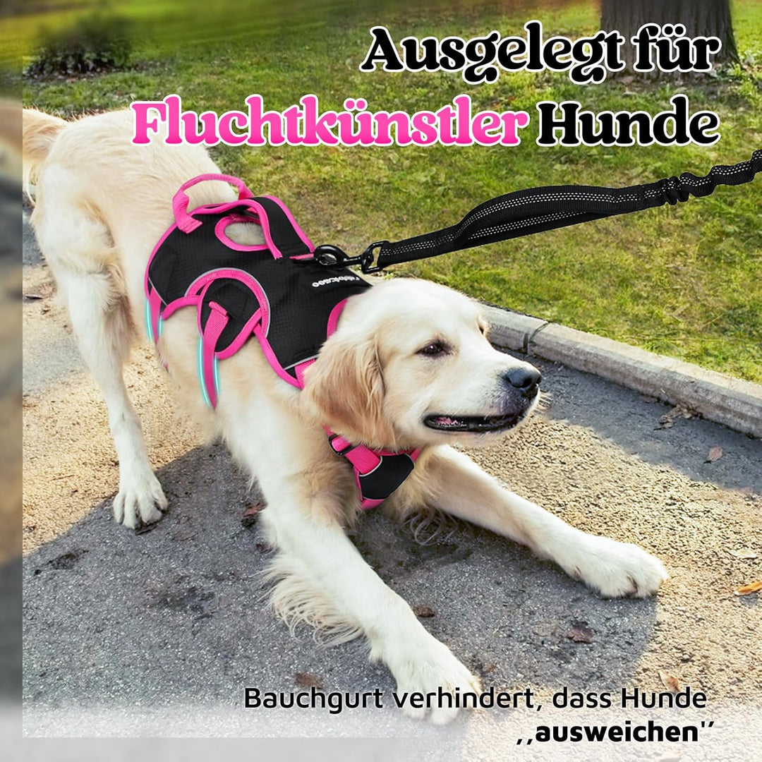 rabbitgoo Ausbruchsicheres Hundegeschirr Grosse Hunde mit Griff, Anti Zug Sicherheitsgeschirr Hund A