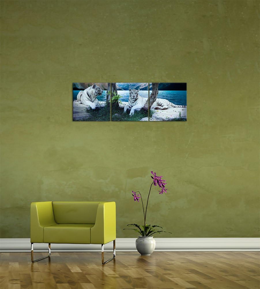 Bilderdepot24 Bild auf Leinwand | Tiger II in 160x50 cm als Panorama Wandbild XXL | Wand-deko Dekora