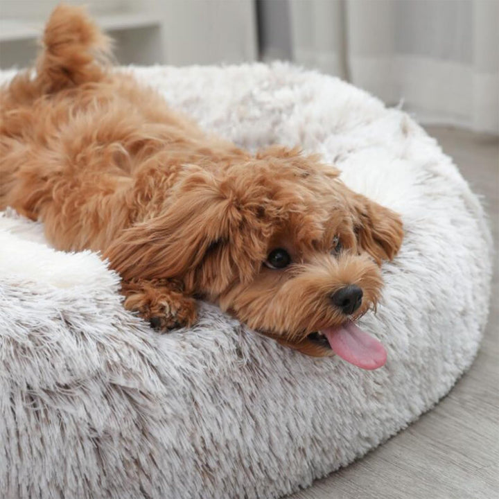 65cm Ø Flauschig Hundebett Katzenbett Bärentatzen-Design Hundekissen Katzenkissen Waschbar Hundekorb