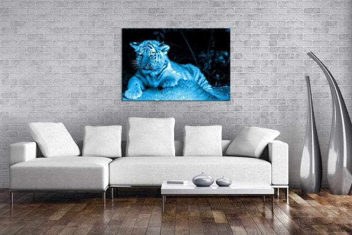 deyoli kleiner verschlafener Tiger Format 80x60 Effekt: Monocrome Blau als Leinwandbild, Motiv ferti
