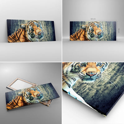 Wandbilder Dekoration Wohnzimmer Indien stein tiger wild Panorama Bilder auf Leinwand 120x50cm Leinw