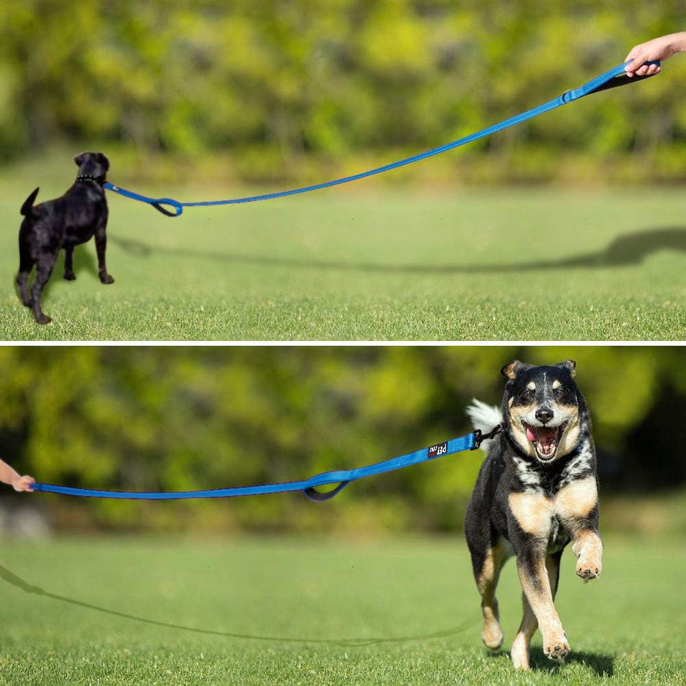 Plutus Pet Hundeleine mit doppeltem Griff, 1,5 m lang, für mittelgrosse und grosse Hunde | Reflektie