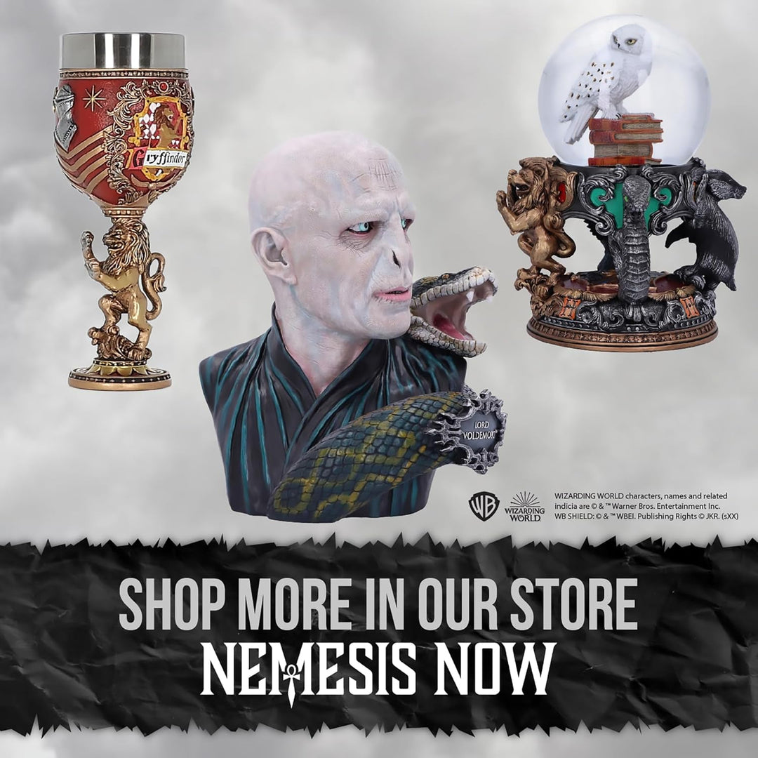 Nemesis Now Collectable Goblet Harry Potter Hogwarts School of Witchcraft and Wizardry Kelch zum Sam