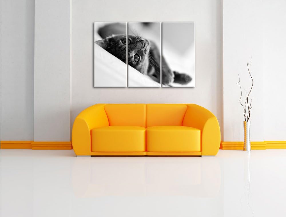 Pixxprint Niedliche Katze liegt im Bett 3-Teiler Leinwandbild 120x80 Bild auf Leinwand