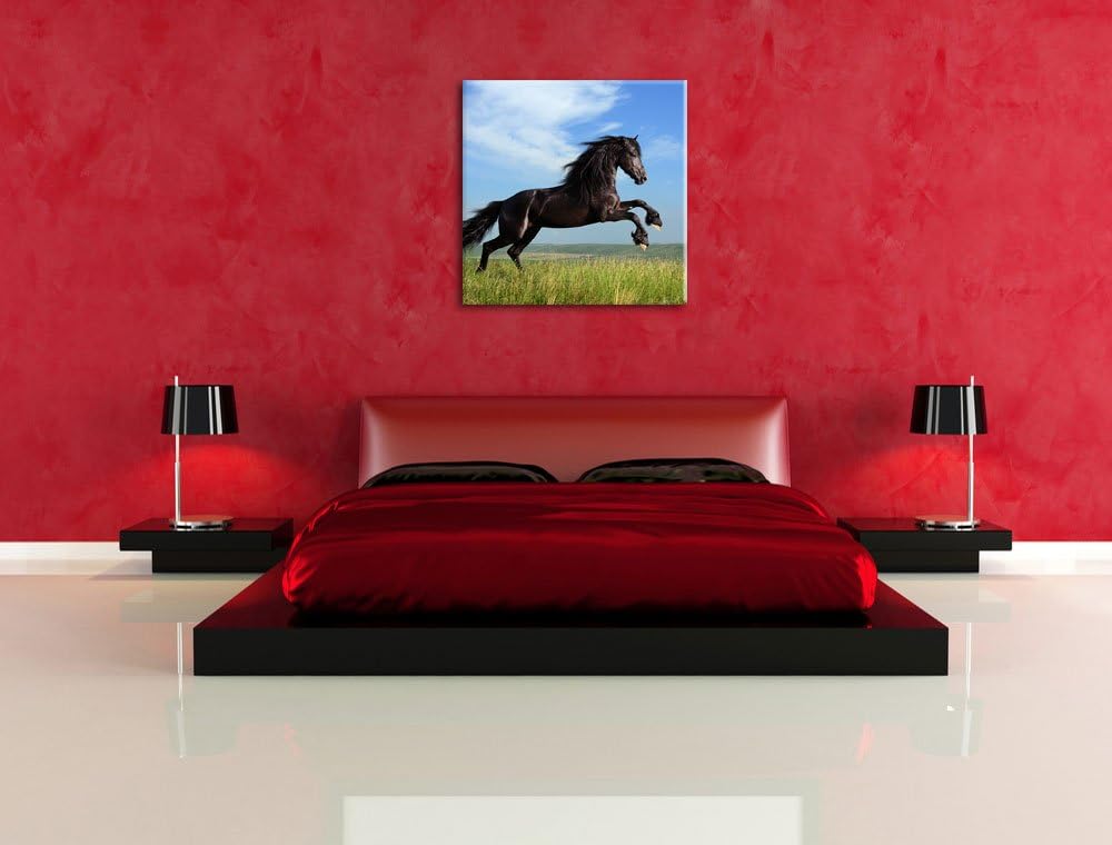 Pixxprint Schwarzer Hengst auf grünen Wiese als Leinwandbild/Grösse: 70x70 cm/Wandbild/Kunstdruck/fe