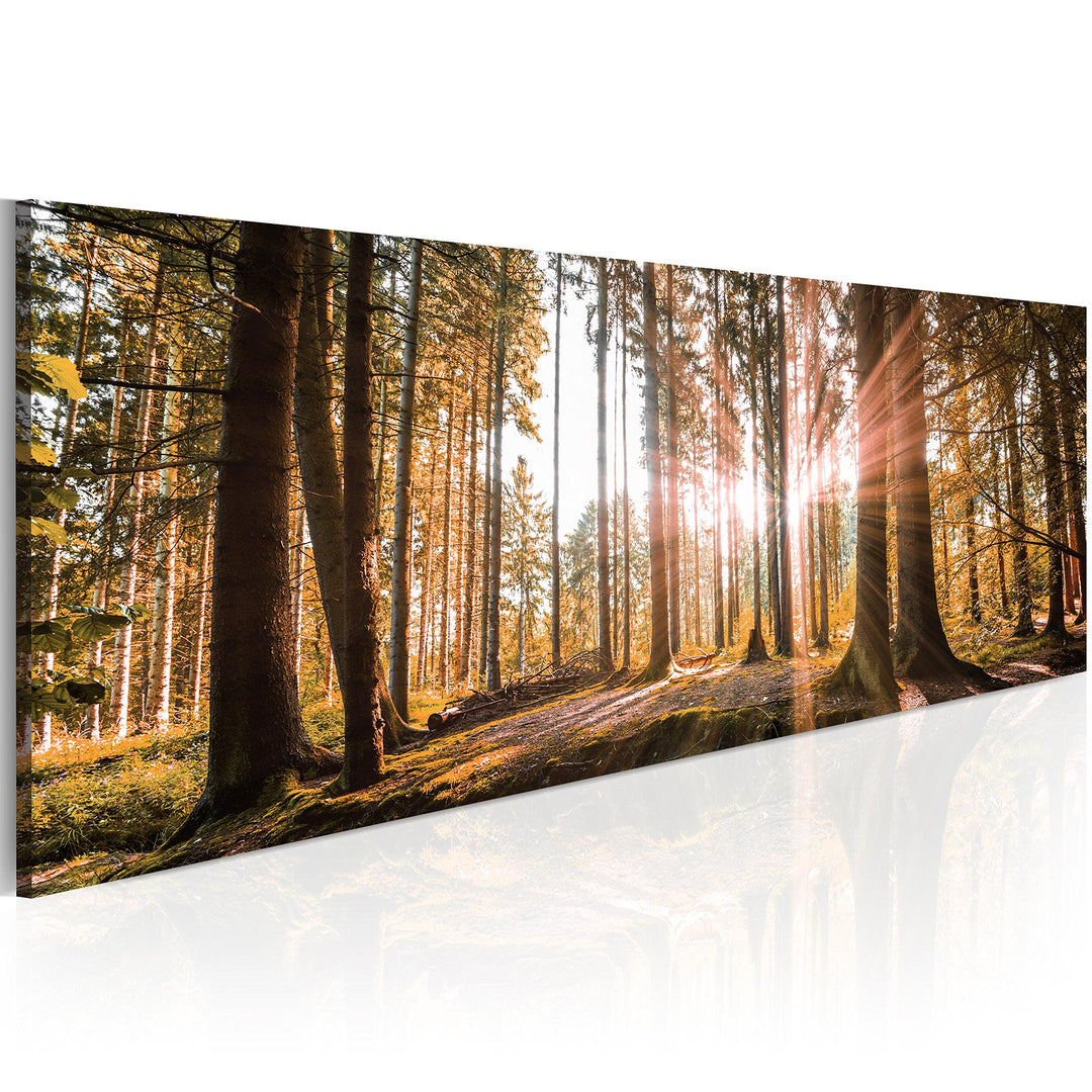 murando Acrylglasbild Landschaft 120x40 cm 1 Teile Wandbild auf Acryl Glas Bilder Kunstdruck Moderne