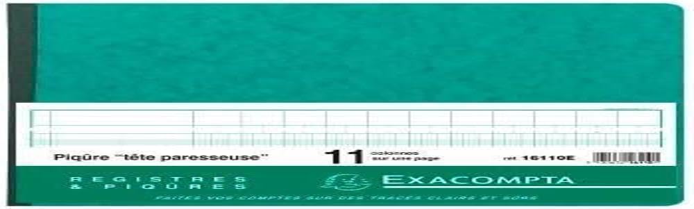 EXACOMPTA Gesch‰ftsbuch mit kopfleiste, 11 Spalten je Seite VE = 1