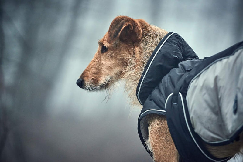 HUNTER UPPSALA EXTREME Hundemantel, Wintermantel, wasserabweisend, reflektierend, 60, schwarz/grau s