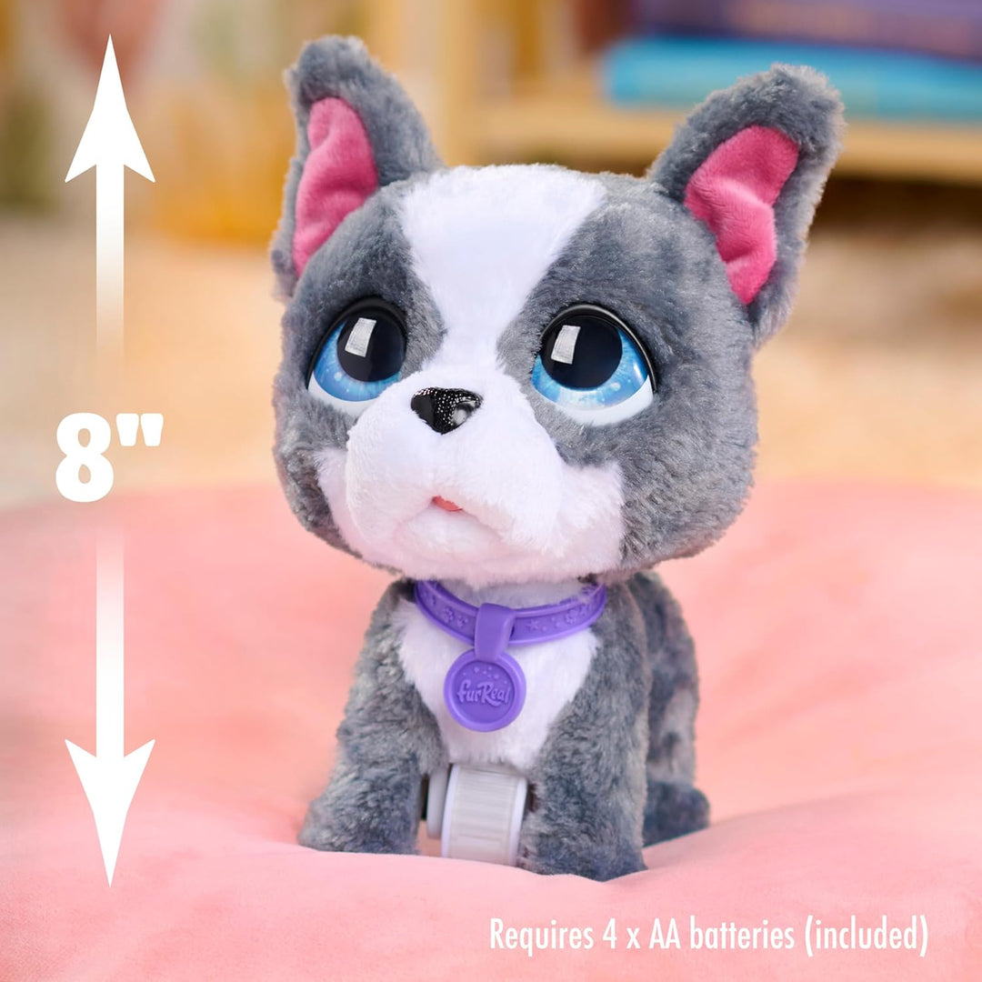 Just Play furReal Walk-A-Lots French Bulldog, interaktives Spielzeug, 20,3 cm grosser, laufender Plü