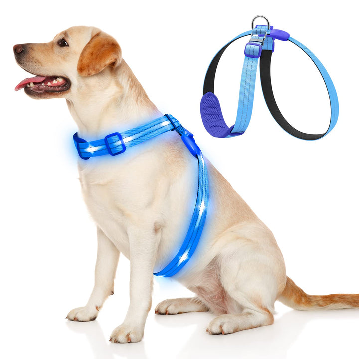 Beleuchtetes Hundegeschirr LED, Wiederaufladbar, Für Nachtspaziergänge Blau, M M Blau, M Blau