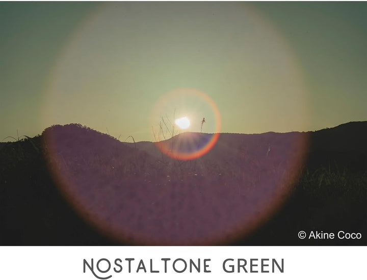 Kenko Soft Effekt Filter NOSTALTONE Green φ82mm, mit Farbeffekt, zur Kontrasteinstellung, hergestell