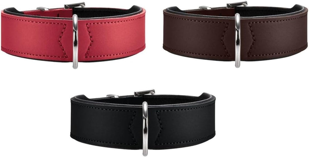 HUNTER BASIC Hundehalsband, beschichtetes Spaltleder, Kunstleder, schlicht, robust, witterungsbestän
