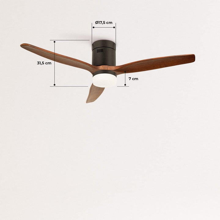 CREATE / WINDCALM/Deckenventilator mit Beleuchtung und Ferbedienung, schwarzer Sockel mit dunklen Ho