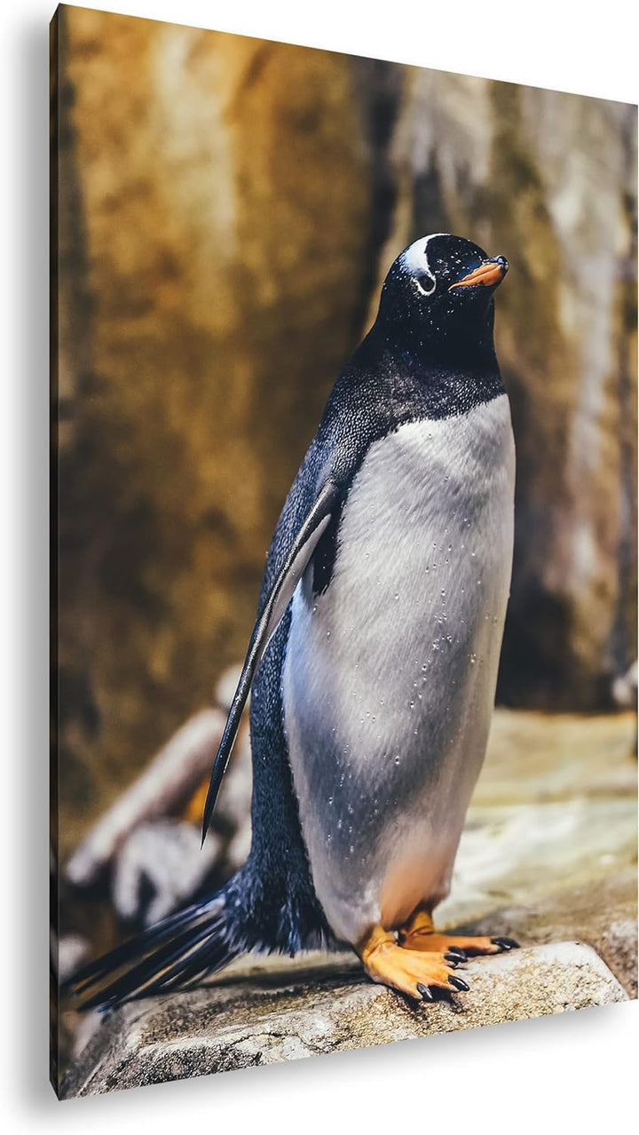 deyoli niedlicher Pinguin Format: 80x60 als Leinwand, Motiv fertig gerahmt auf Echtholzrahmen, Hochw