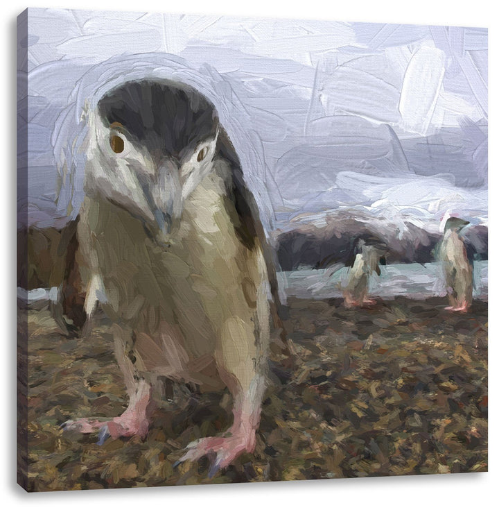 Lustige Pinguine als Leinwandbild/Grösse: 70x70 cm/Wandbild/Kunstdruck/fertig bespannt, 70x70