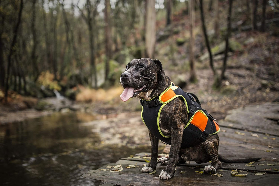 Julius-K9, IDC Multifunktionale Hundeweste 3in1, Grösse: S, Schwarz und UV Orange S Schwarz und Neon