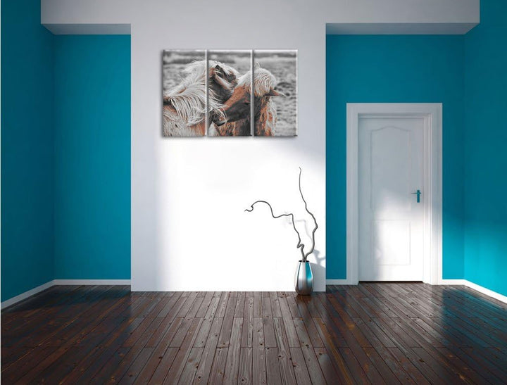 Pixxprint Islandpferde Pony als Leinwandbild | Grösse: 3 Teilig (120x80) | Wandbild| Kunstdruck | fe