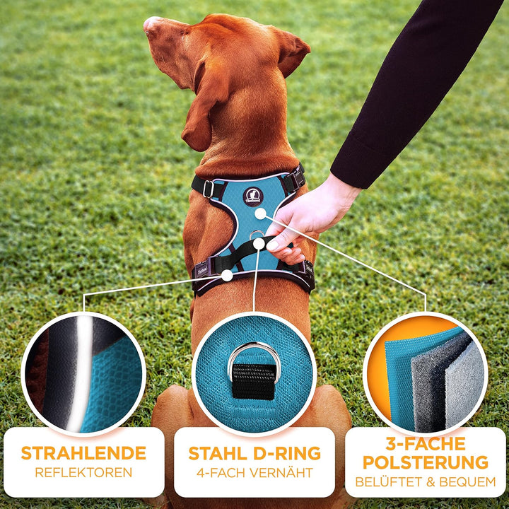 Tierhood - Hundegeschirr für kleine, mittel und grosse Hunde - [INKL. HALSCLIP] - Geschirr Hund - Si