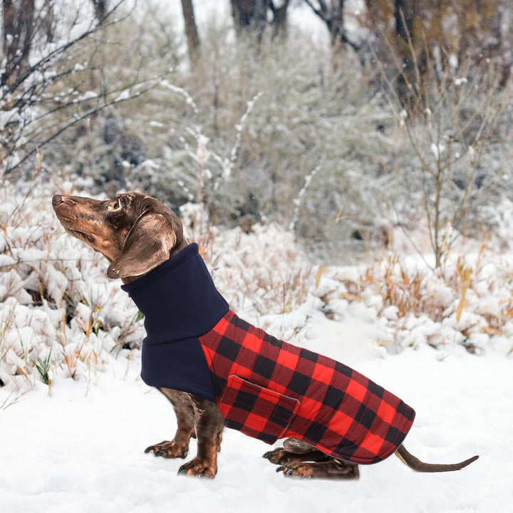 Geyecete Dackel Mantel Winter, Warmer Hunde wintermantel,wasserdichter Hundemantel mit Leinenloch,Hu