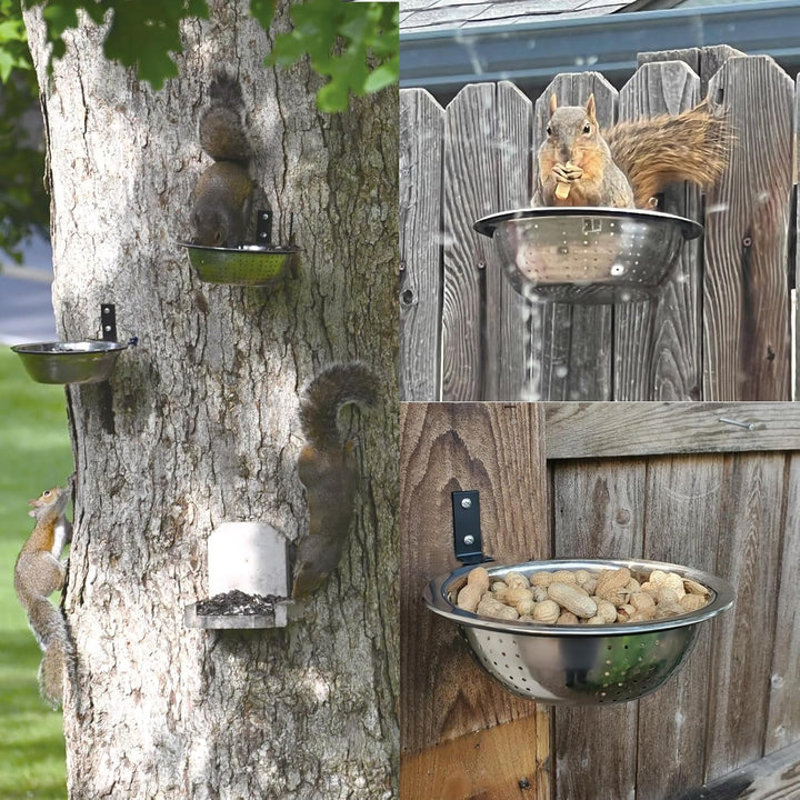 2 Stück Edelstahl Eichhörnchen Futterhaus,Eichhornfutter-Schale,Baummontiert, mit Ablasslöchern,idea